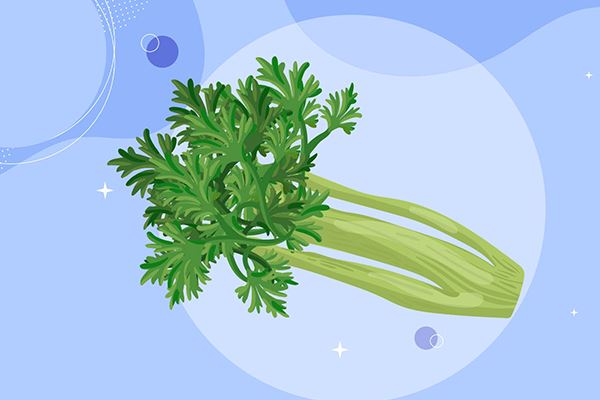 白地瓜的功效与作用 白地瓜的食用方法